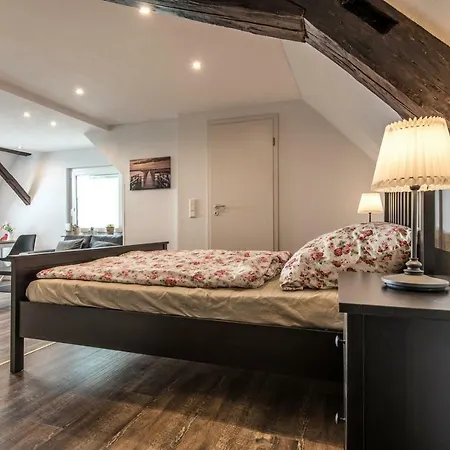 Kopf Apartment Bad Buchau